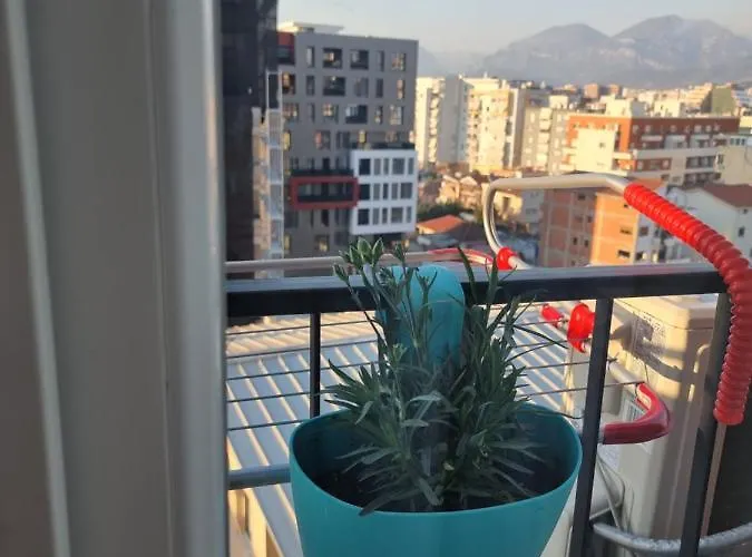 Apartamento New Cozy Tirana