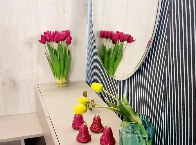 New Cozy Apartamento